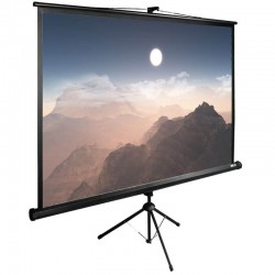 Экран Cactus 180x180 см TriExpert CS-PSTE-180x180-BK 1:1 напольный рулонный черный