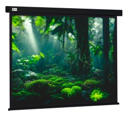 Экран Cactus Wallscreen CS-PSW-213X213-BK, 01:01, настенно-потолочный, рулонный, черный, 213x213 см