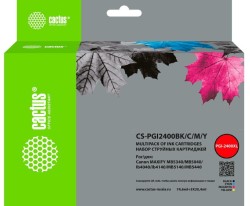 Картридж струйный Cactus PGI-2400 (CS-PGI2400BK/C/M/Y) для принтеров Canon MAXIFY iB4040/ МВ5040/ МВ5340, набор 4 цвета, 135.8 мл