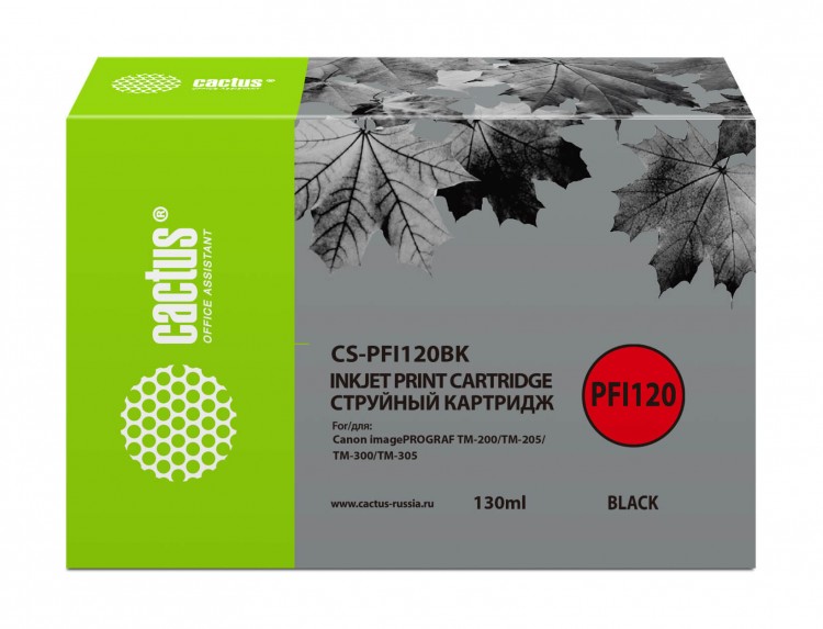 200 cactus outlet