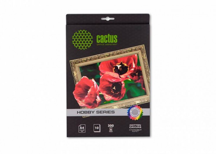 Холст Cactus CS-CA426010 A4/300г/м2/10л. для струйной печати
