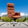 Кресло руководителя Cactus CS-LBR-CARACAS коричневый сиденье коричневый кожа крестов. алюминий