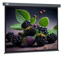 Экран Cactus Wallscreen CS-PSW-127X127-SG, 01:01, настенно-потолочный, рулонный, серый, 127x127 см