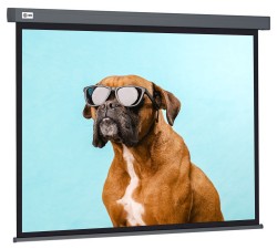 Экран Cactus Wallscreen CS-PSW-149X265-SG, 16:09, настенно-потолочный, рулонный, серый, 149.4x265.7 см